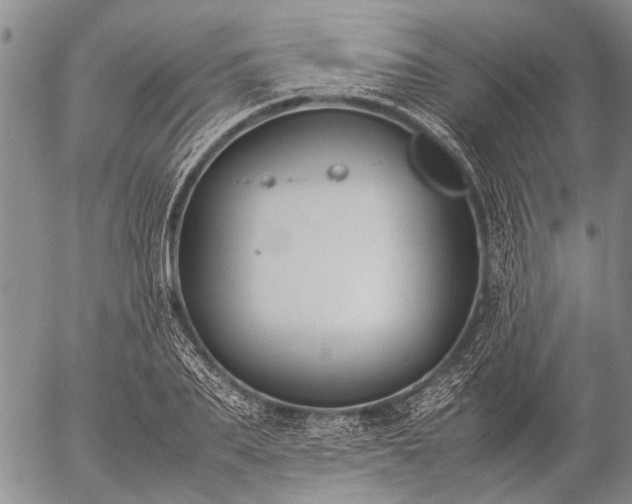 X0000057080887200509161601