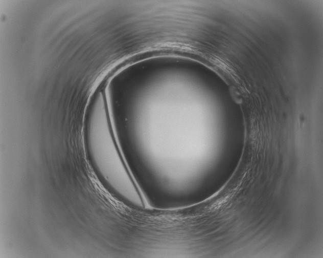 X0000057080888200509161601