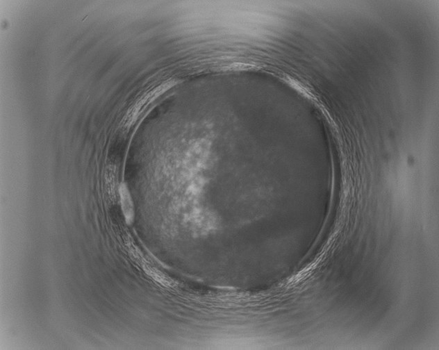 X0000057080889200509161601