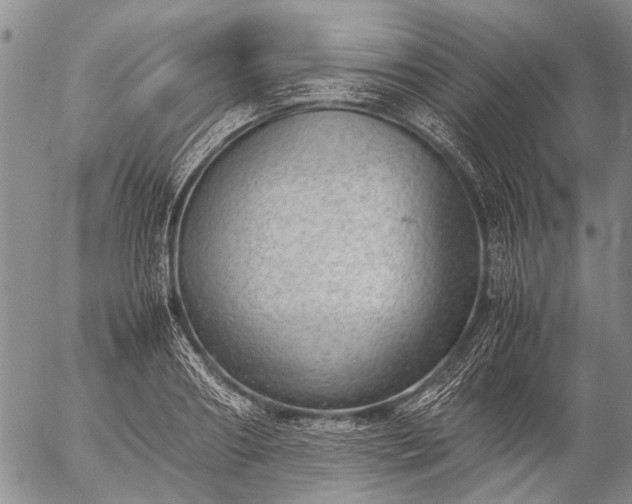 X0000057080890200509161601