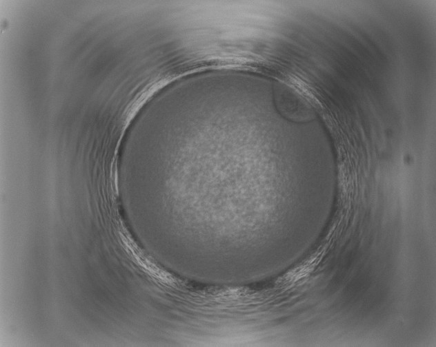 X0000057080891200509161601