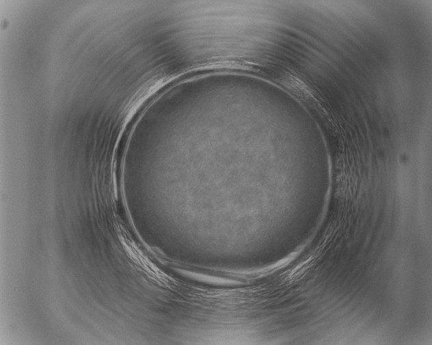 X0000057080892200509161601