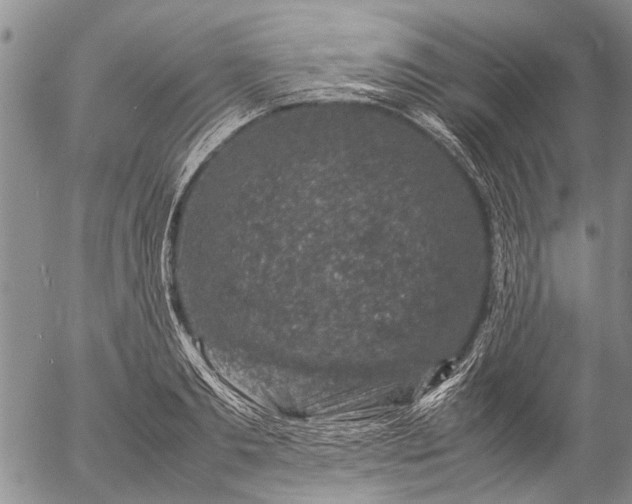 X0000057080893200509161601