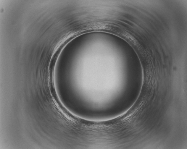 X0000057080894200509161601