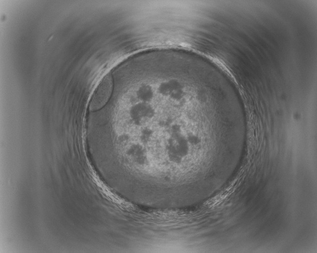 X0000057080895200509161601