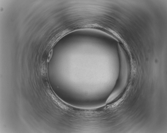 X0000057080897200509161601