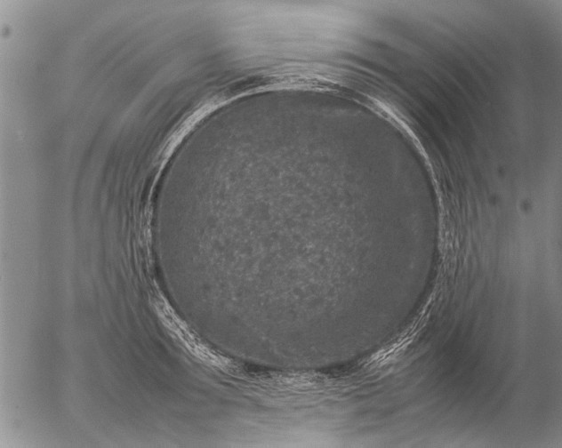 X0000057080899200509161601