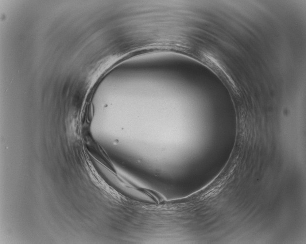 X0000057080900200509161601