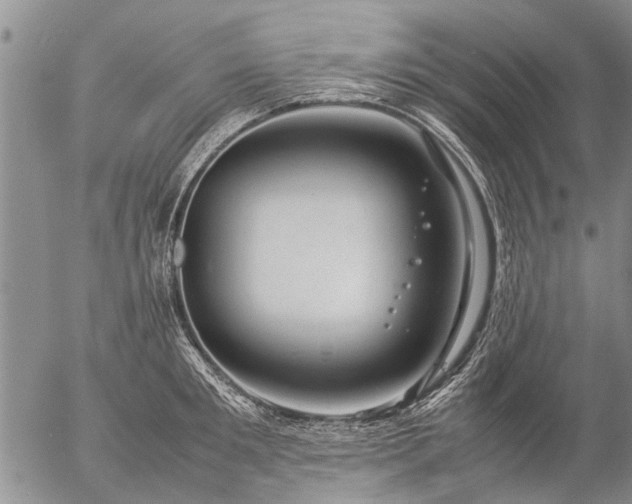 X0000057080901200509161601