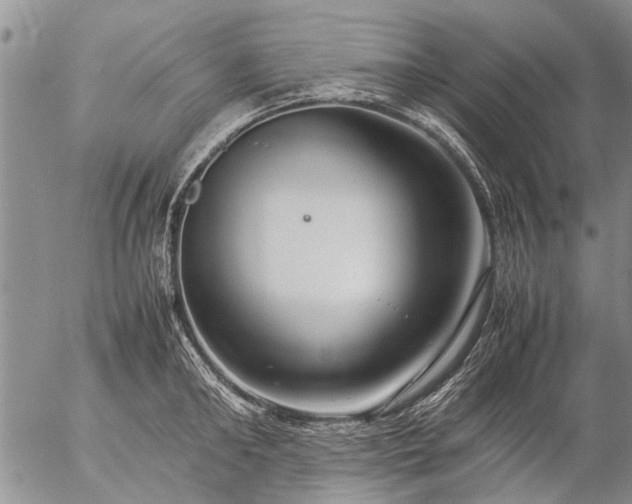 X0000057080902200509161601