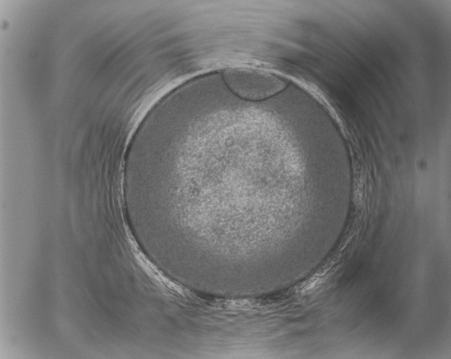 X0000057080903200509161601