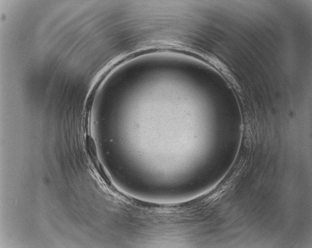 X0000057080904200509161601