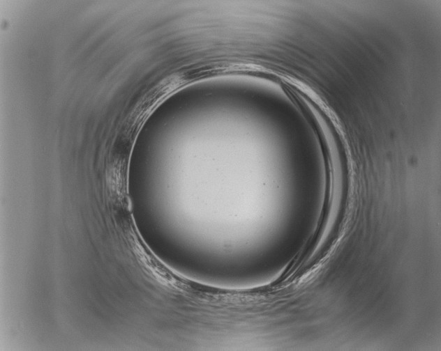 X0000057080905200509161601