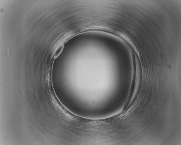 X0000057080906200509161601