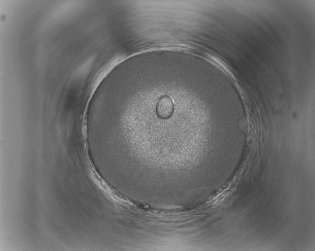 X0000057080907200509161601