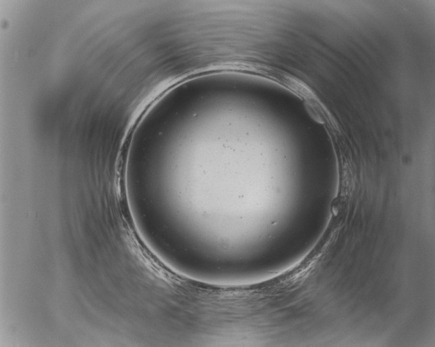 X0000057080908200509161601