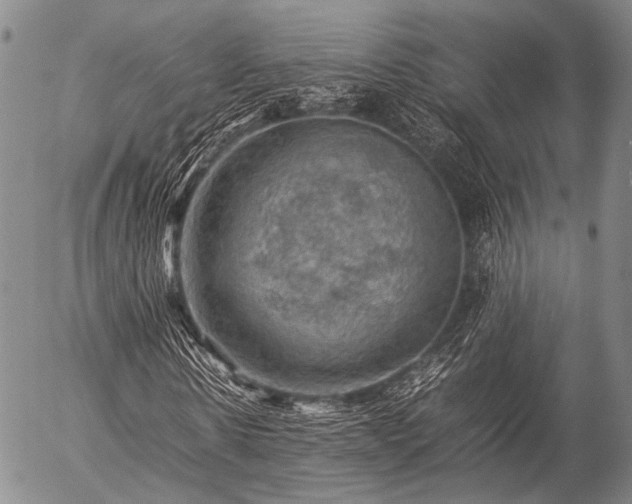 X0000057080914200509161600