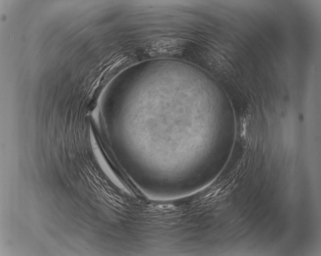 X0000057080915200509161600