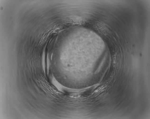 X0000057080916200509161600