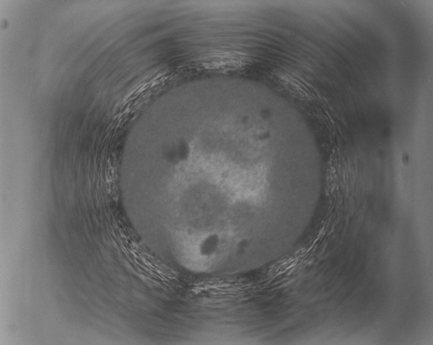 X0000057080917200509161600