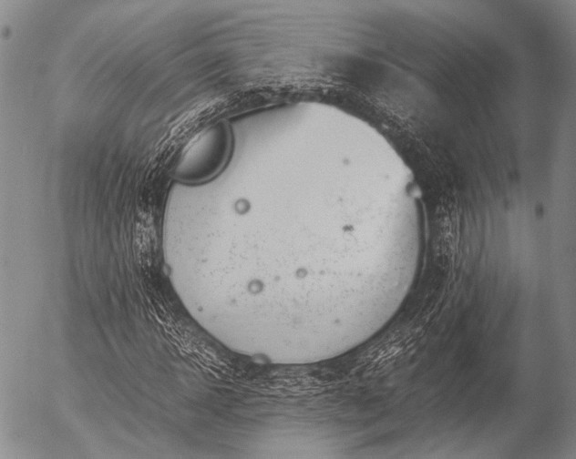 X0000057080918200509161600