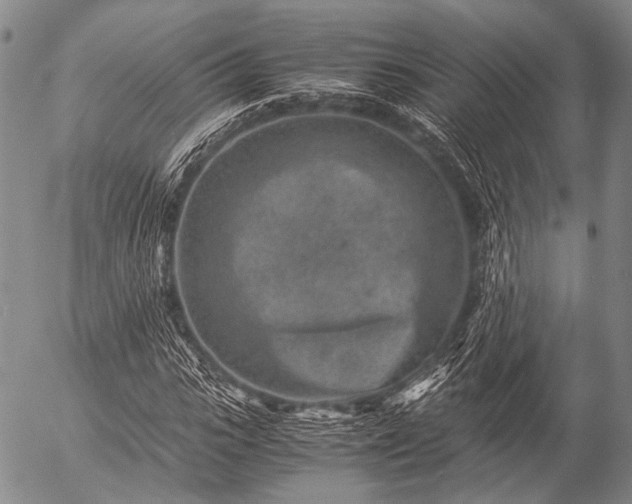 X0000057080919200509161600