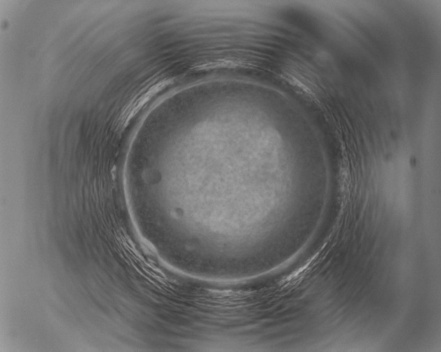 X0000057080921200509161600