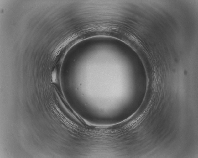 X0000057080922200509161600