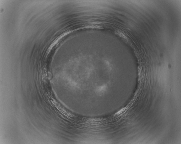 X0000057080923200509161600