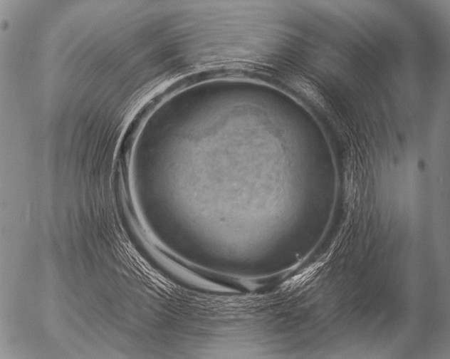 X0000057080924200509161600