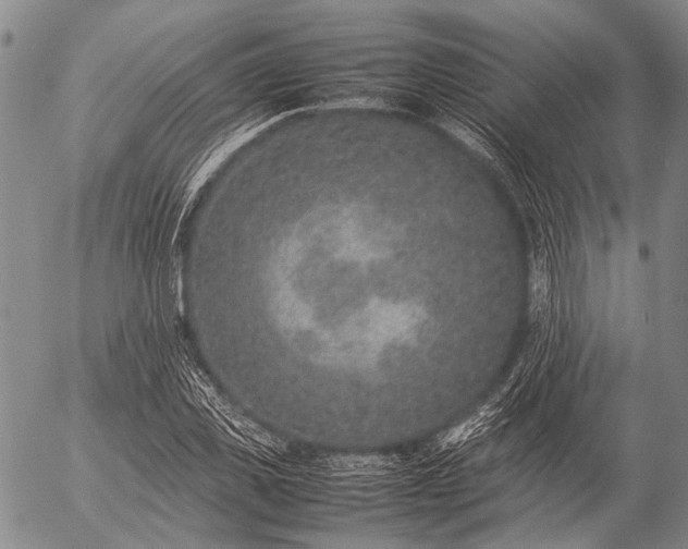 X0000057080925200509161600