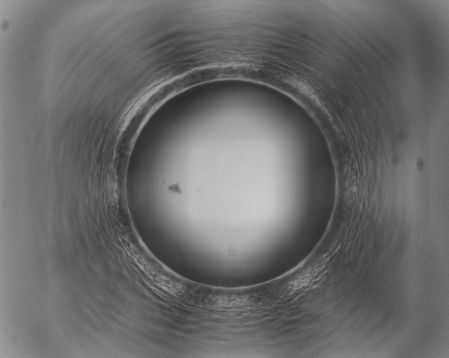 X0000057080927200509161600