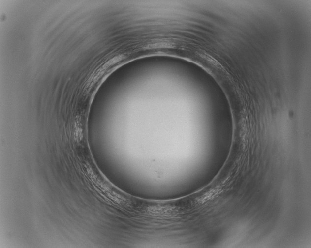 X0000057080929200509161600