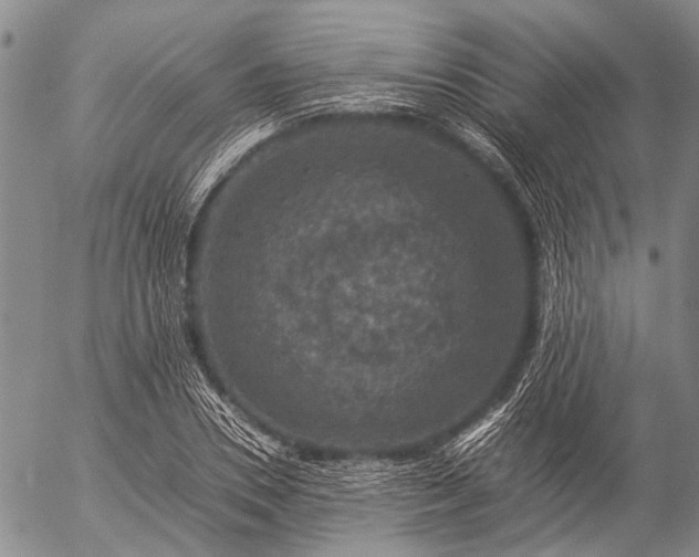 X0000057080930200509161600