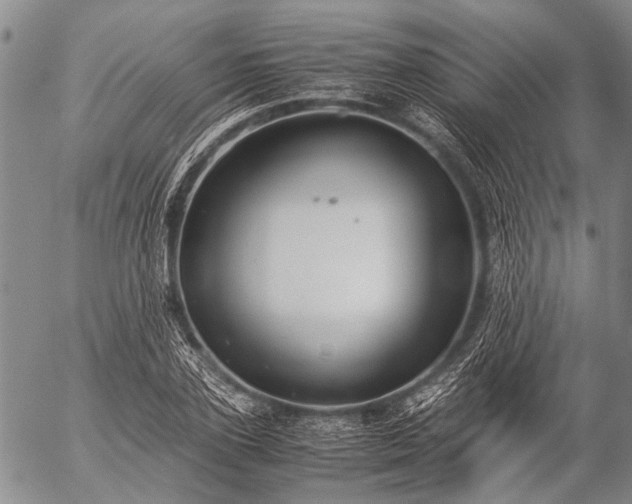 X0000057080931200509161600