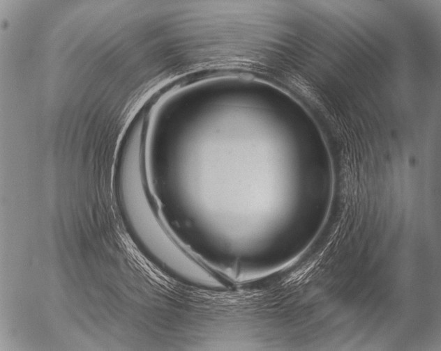 X0000057080932200509161600