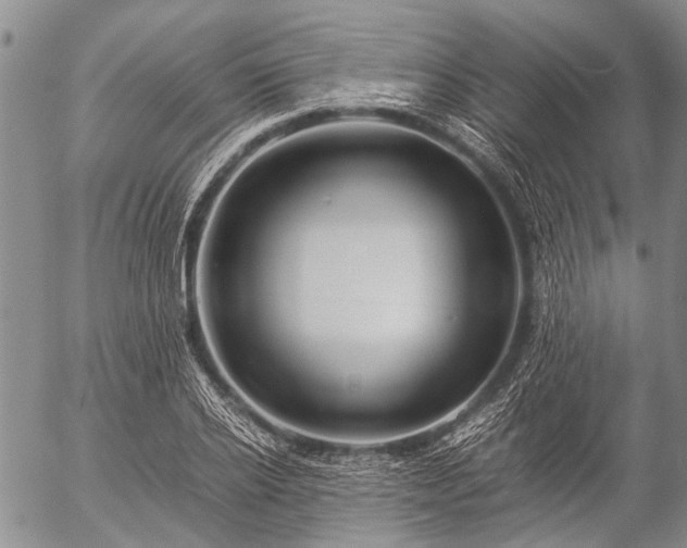 X0000057080934200509161600