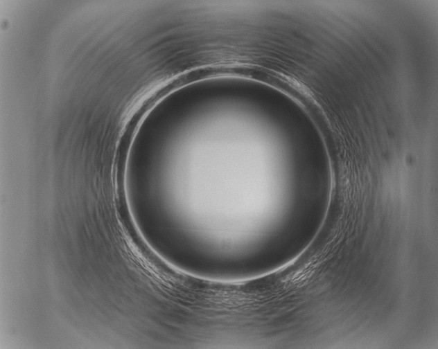 X0000057080935200509161600