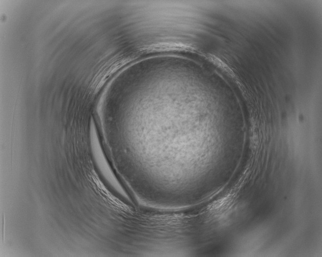 X0000057080937200509161600