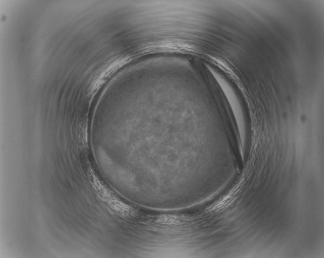 X0000057080938200509161600