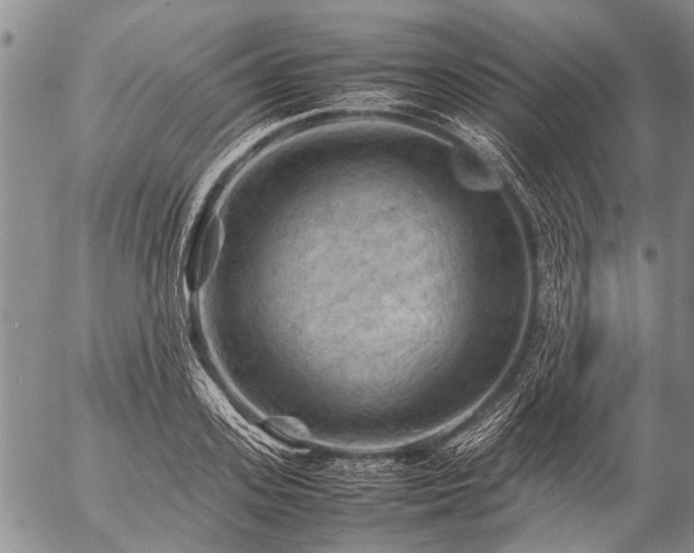 X0000057080939200509161600