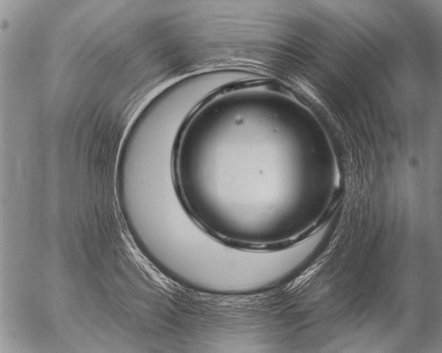 X0000057080940200509161600