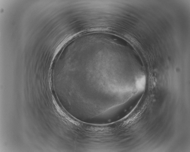 X0000057080941200509161600