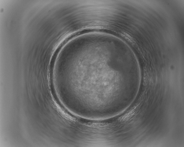 X0000057080942200509161600