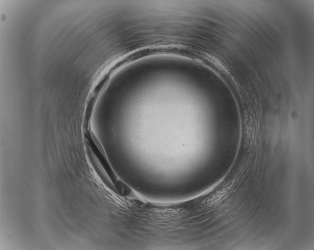 X0000057080943200509161600