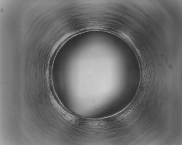 X0000057080947200509161600