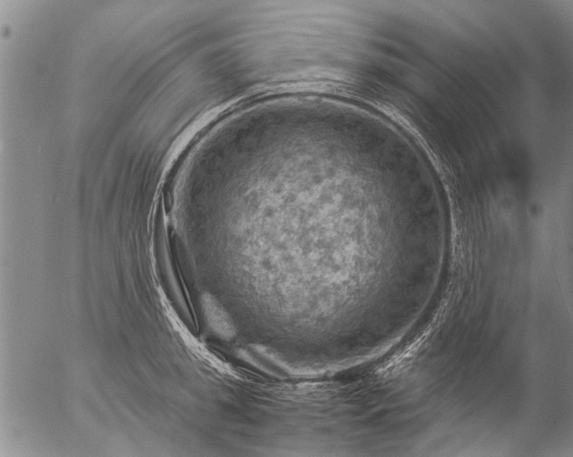 X0000057080949200509161600