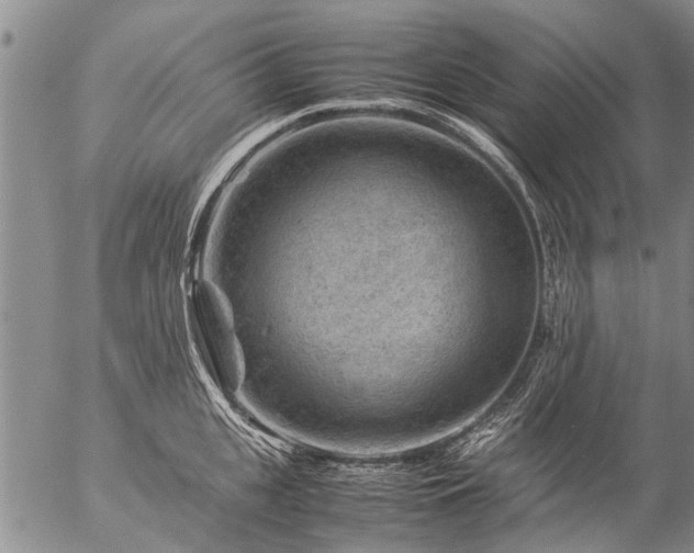 X0000057080951200509161600