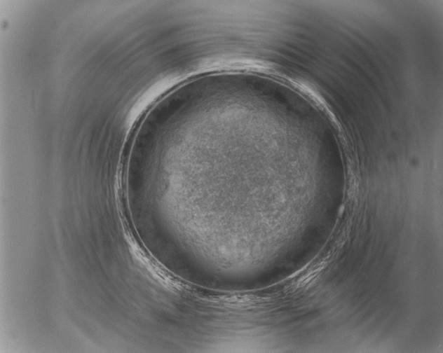 X0000057080952200509161601