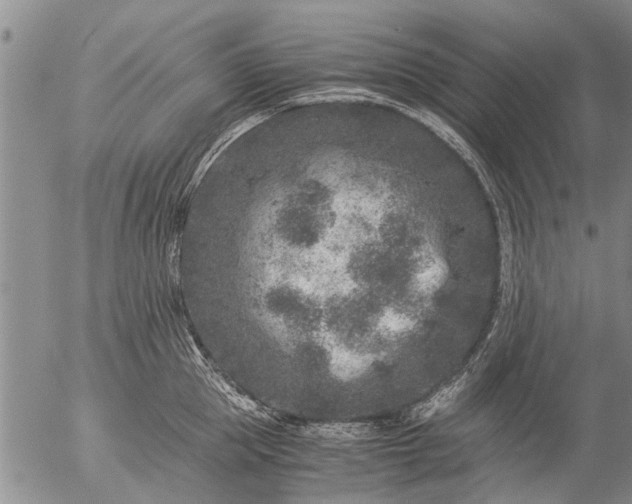 X0000057080953200509161601